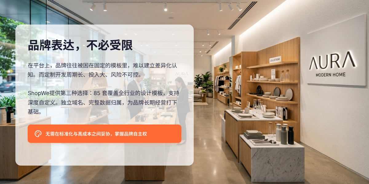 电商平台卖家独立站